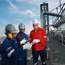 SHE Chief Safety Officer